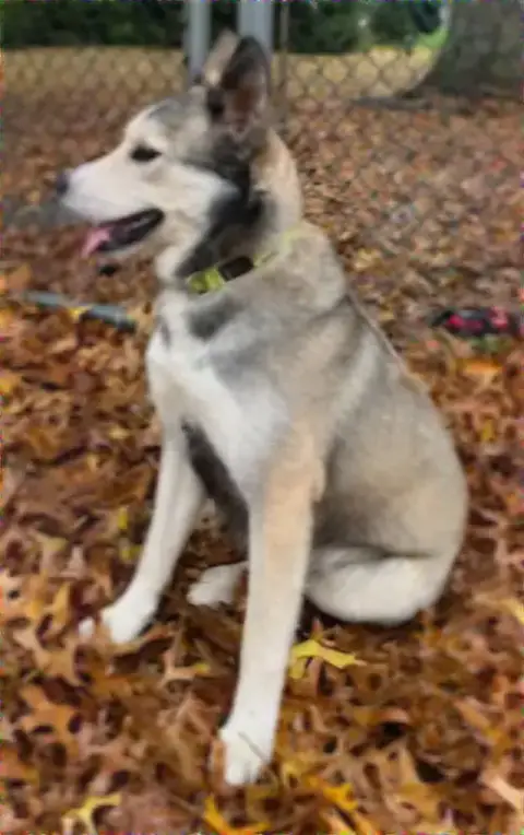 Cubby Is A Hiker photo 2
