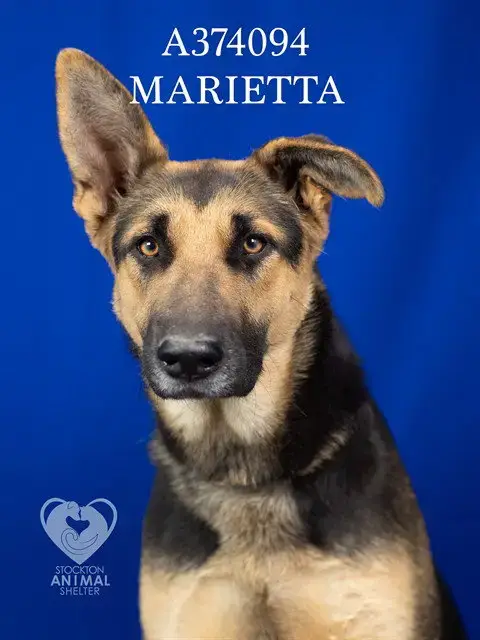 Marietta