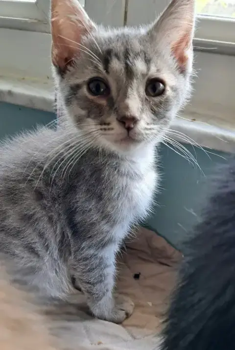 Morty photo 3