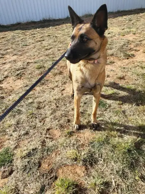 Roxanne Located In New Mexico photo 2