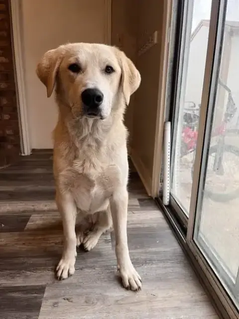 Riley