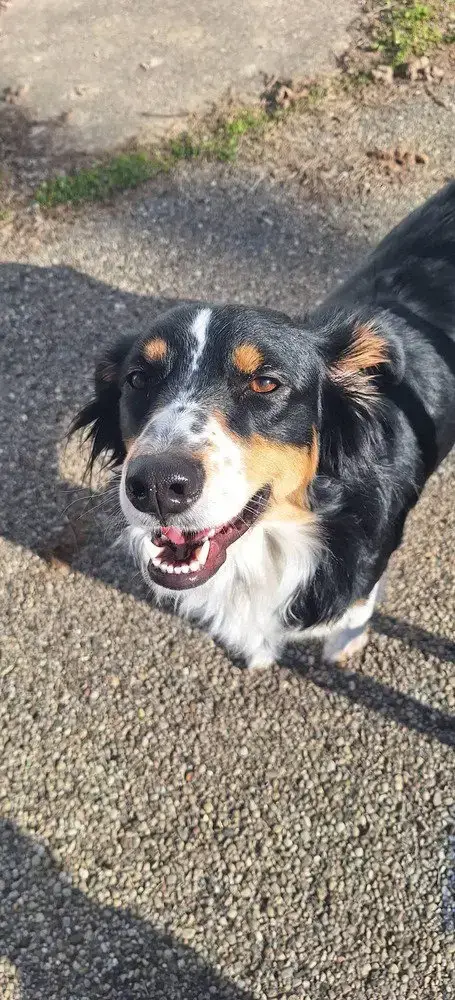 Miss Gypsy
