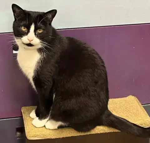 Tux