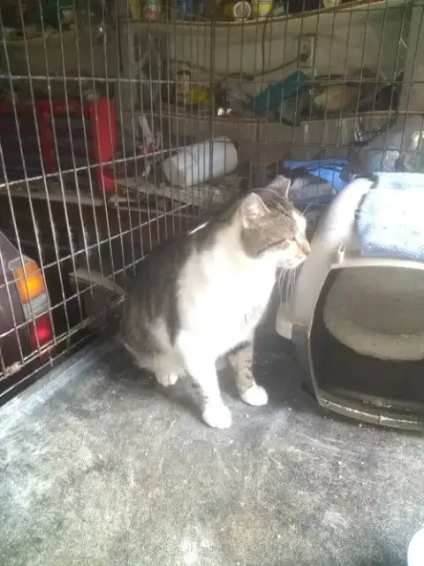 Bobo photo 3