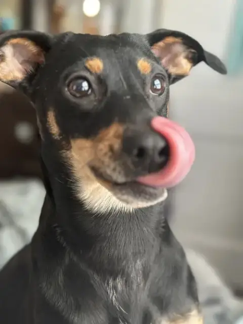Millie
