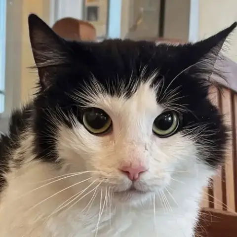 Moosh photo 2