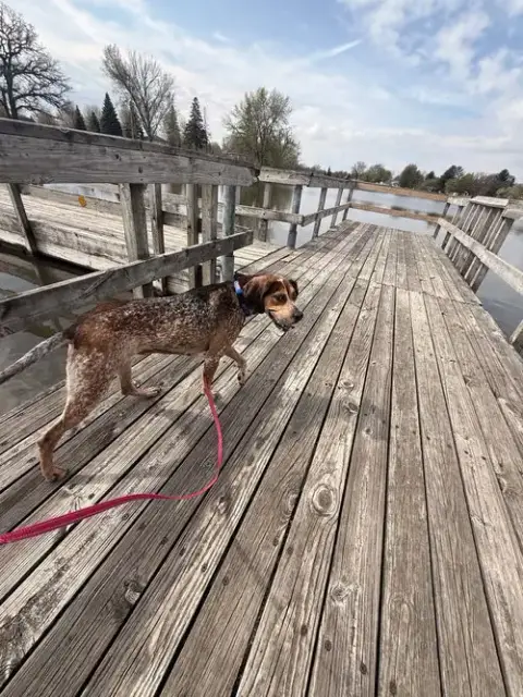 Peggy photo 2