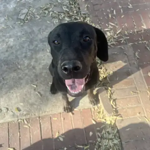 Mollie Ii photo 3