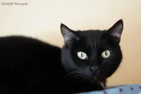 Fabiana photo 5