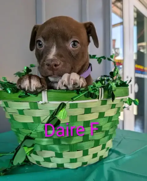 Daire photo 2