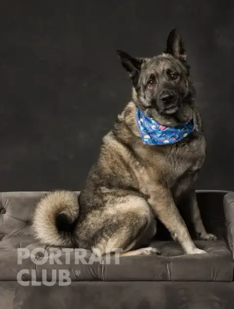 Axel photo 5