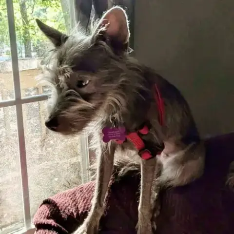 Zoey