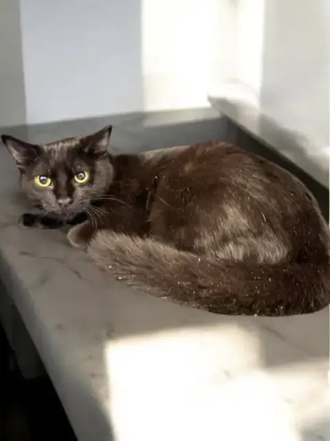 Bonnie photo 2