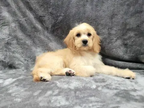 Butters photo 5
