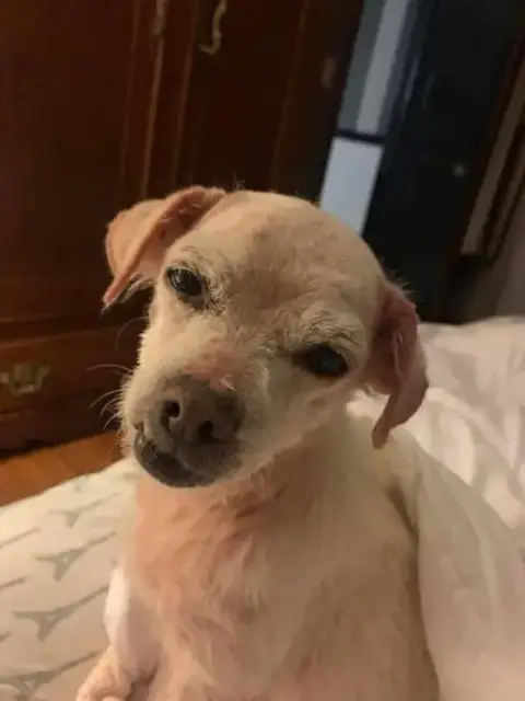 Mabel photo 4