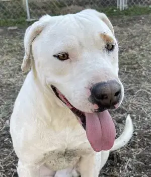 Casper