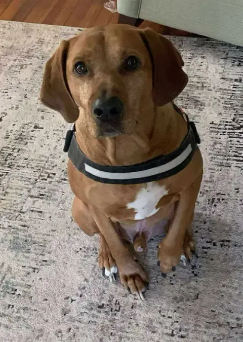 Red: "My Home To Yours"