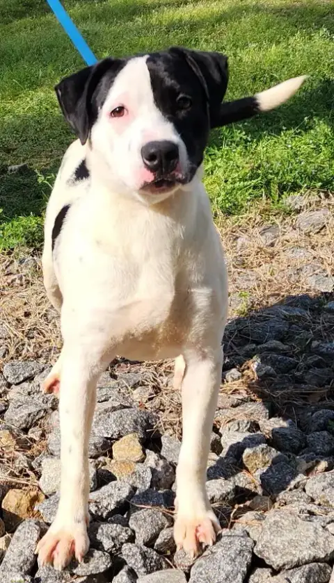 260050  Zoey