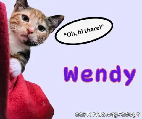 Wendy photo 3