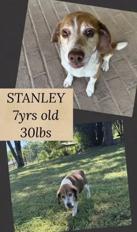 Stanley