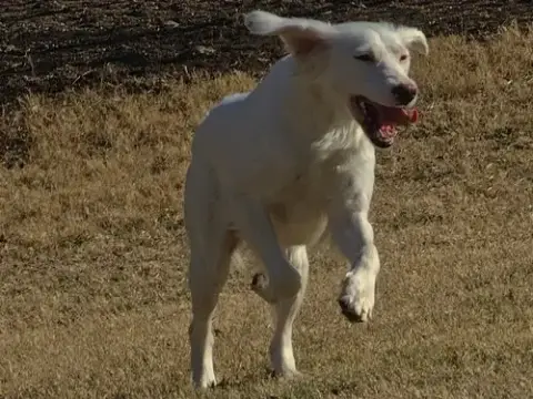 Sally photo 4