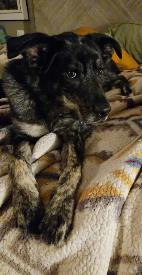 Jake photo 4
