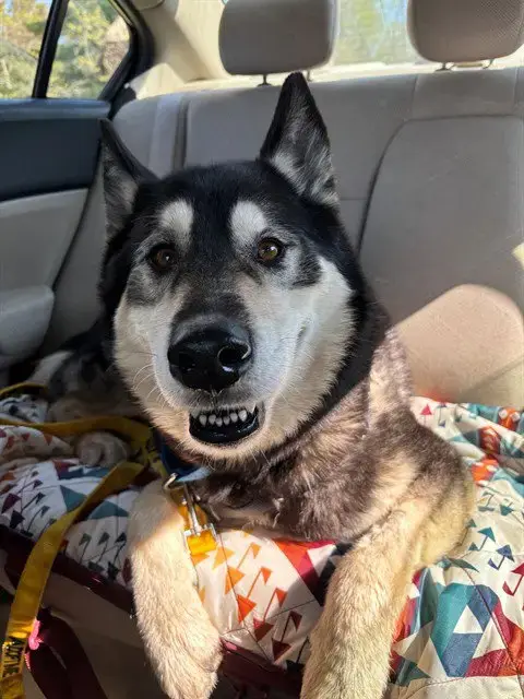 Max
