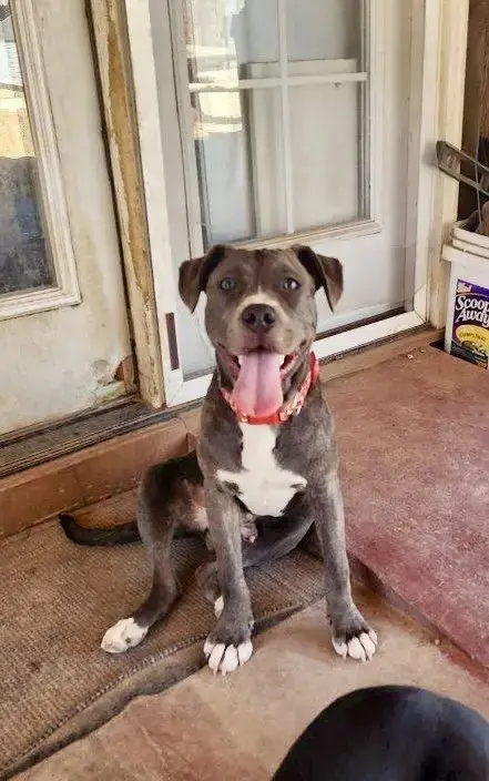 Jaxx photo 4