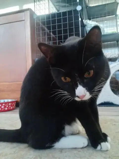 Raymond And Reagan =^.^= photo 4