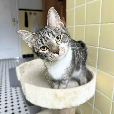 Olivia