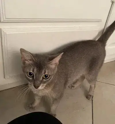 Nala photo 5