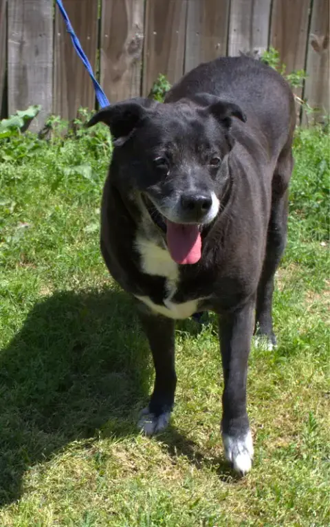Marla photo 3