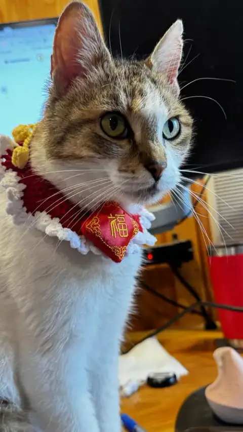 Miss Maggie