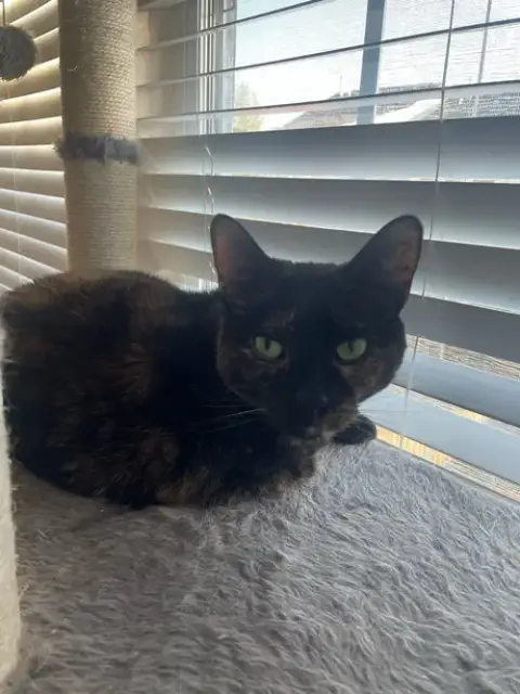 Maggie photo 2