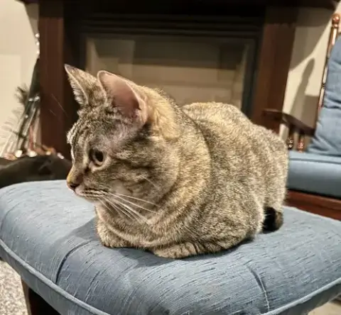 Gloria
