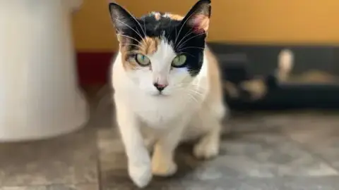 Gigi photo 5