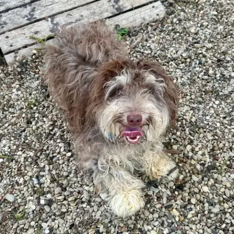 Cleo photo 2