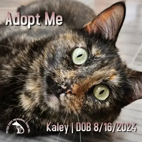 Kaley