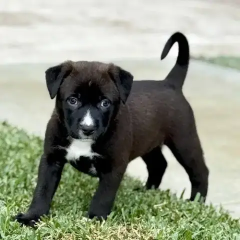 Marcy photo 4