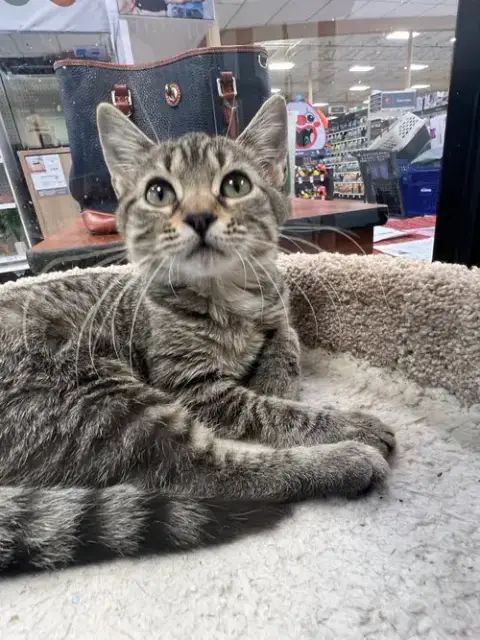 Moppet photo 2