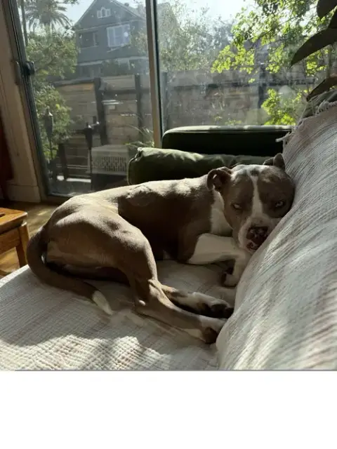 Juliet photo 3
