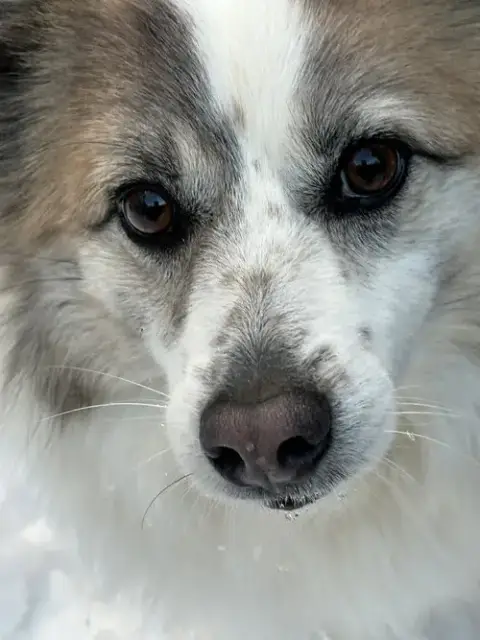 Nora photo 2