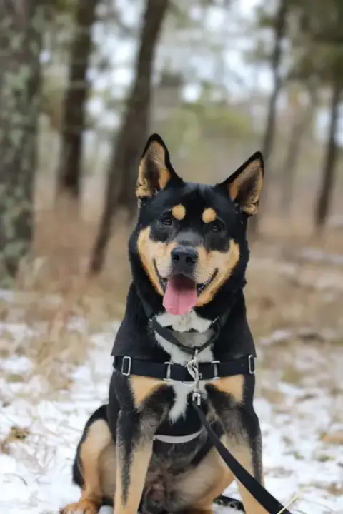 Kane photo 4