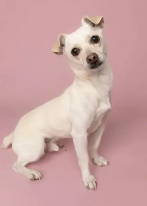 Casper