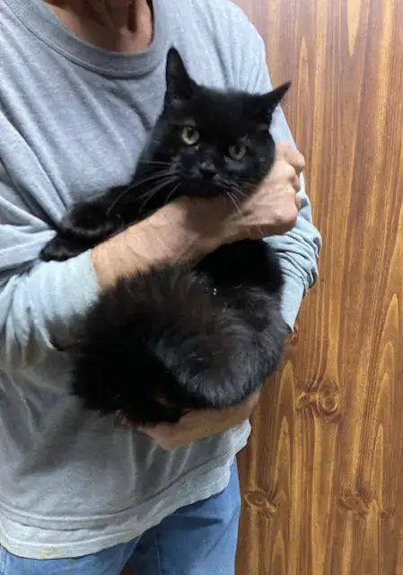 Coco