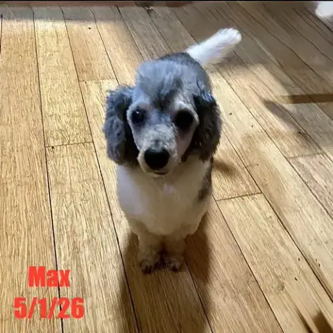 Max