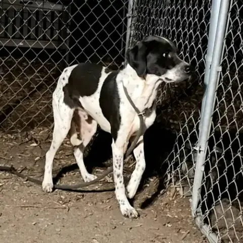 Jax photo 4