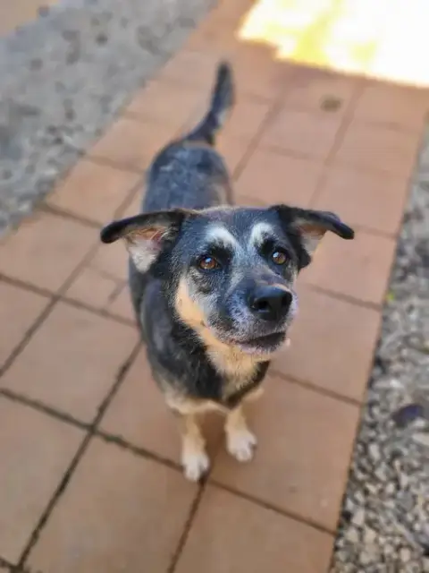 Precious photo 5