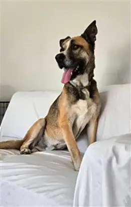 Tex