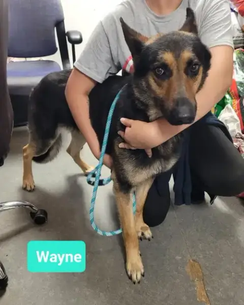 Wayne-Sponsored photo 3